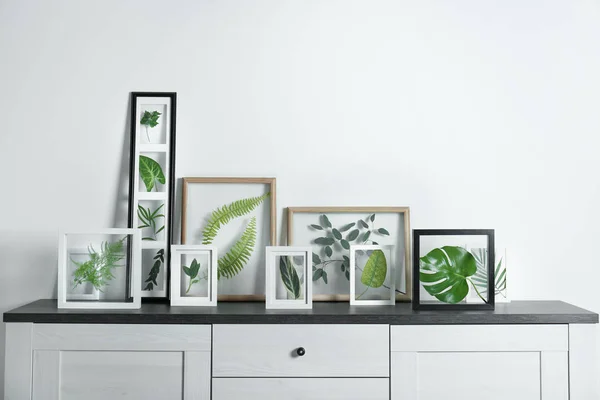 Marcos con hojas verdes —  Fotos de Stock