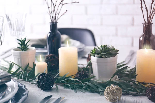 Mesa servida con suculentas — Foto de Stock