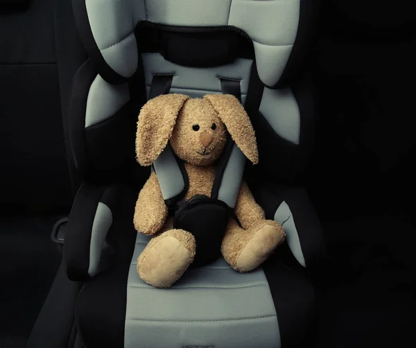 Conejito sentado en el asiento del coche — Foto de Stock