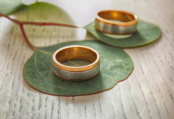 Primer plano de los anillos de boda — Foto de Stock
