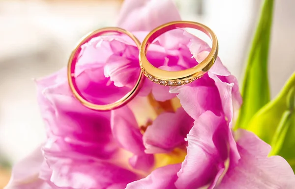 Anillos de boda en flor —  Fotos de Stock