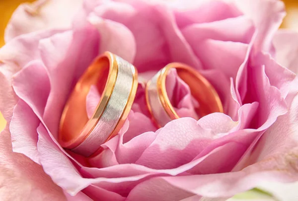 Обручальные кольца на цветке — стоковое фото