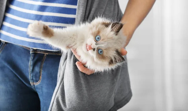 Kotek siedzi w kieszeni właściciela — Zdjęcie stockowe