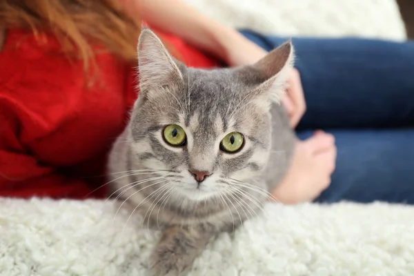 Mulher segurando gato bonito — Fotografia de Stock