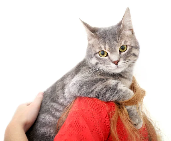 Жінка тримає милий кіт — стокове фото