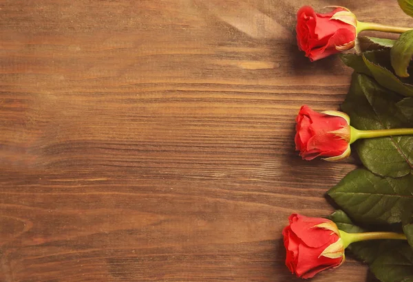 Hermosas rosas rojas — Foto de Stock