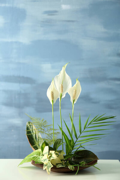 beautiful Plants arrangement