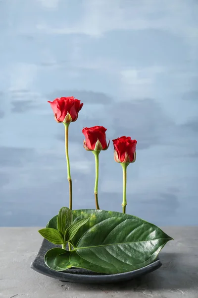 Arranjo de flores bonitas — Fotografia de Stock