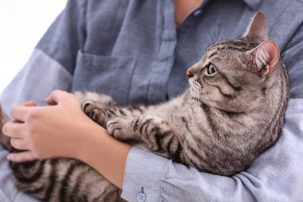 Söt katt med ägaren — Stockfoto