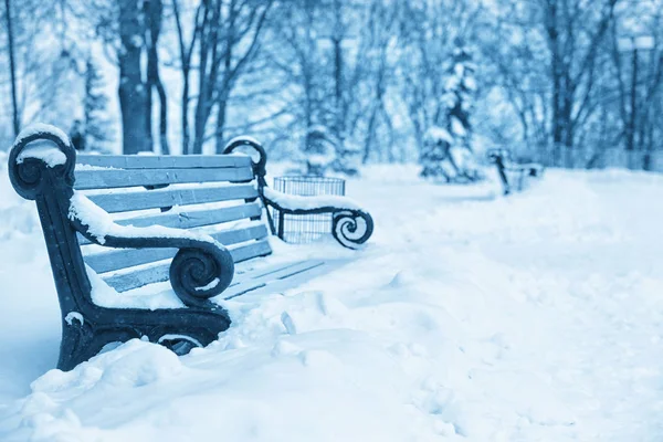 Empty bench in park — Stock Photo, Image