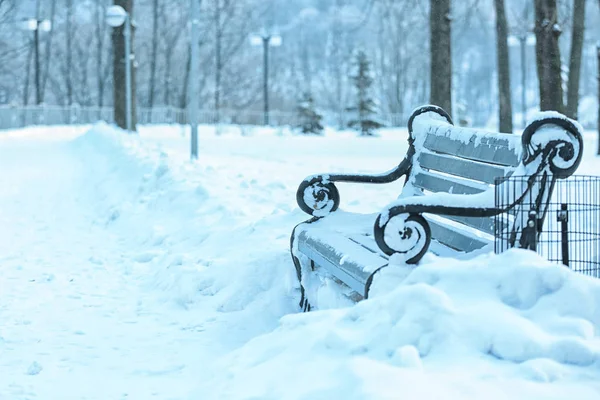 Empty bench in park — Stock Photo, Image