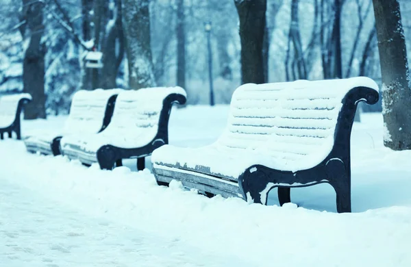 Empty benches in park — Stock Photo, Image