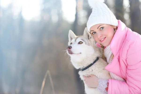 Siberische husky in winter park — Stockfoto