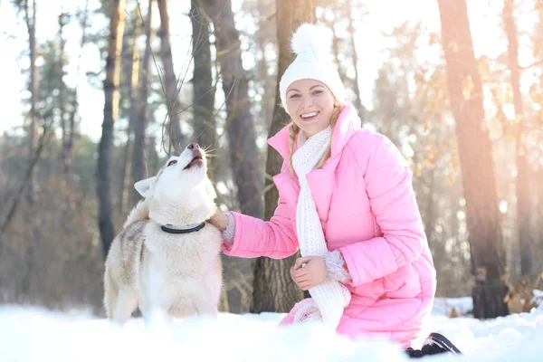 Husky siberiano no parque de inverno — Fotografia de Stock