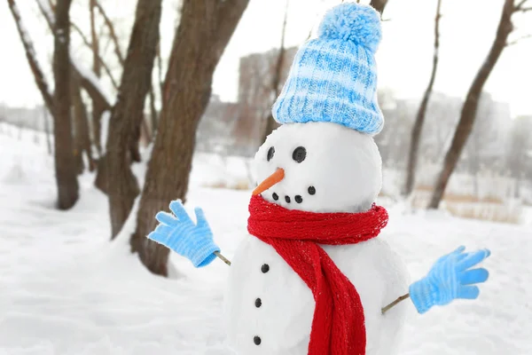 Смішний сніговик взимку — стокове фото