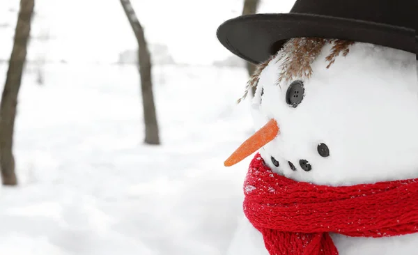 Boneco de neve engraçado no inverno — Fotografia de Stock