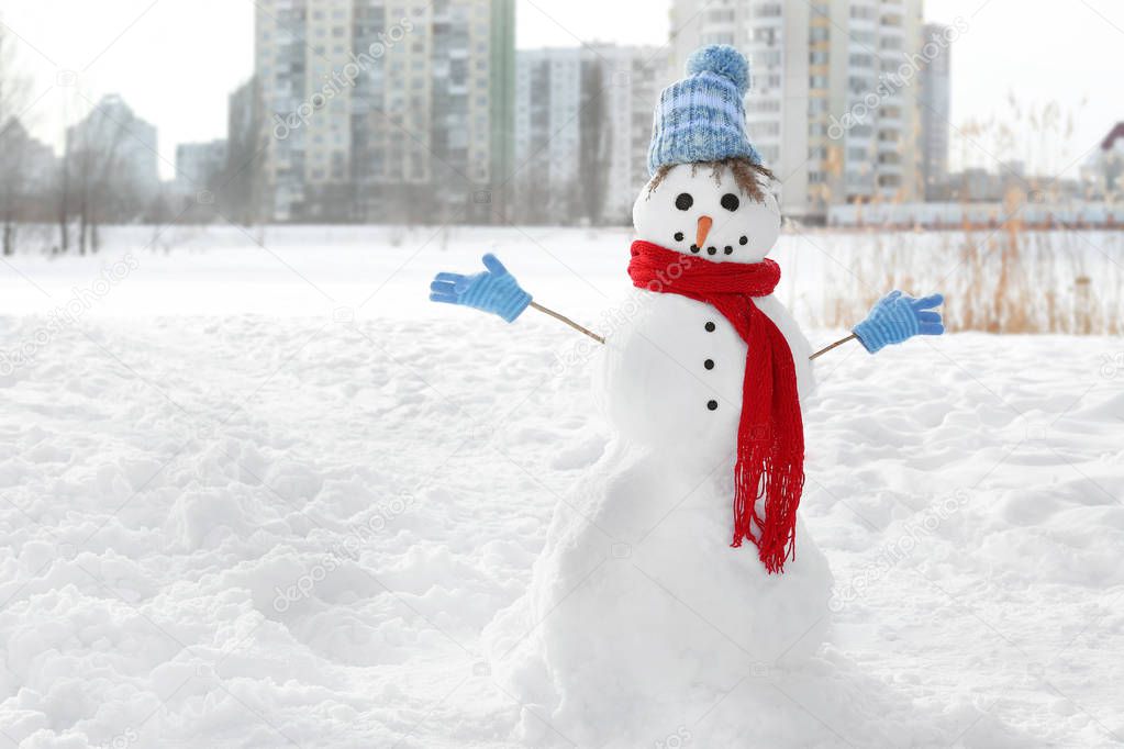 Funny snowman in wintertime
