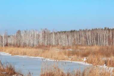Göl ve ağaçlı manzara