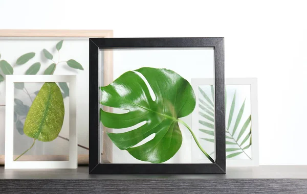 Frames with green leaves — Stock Photo, Image