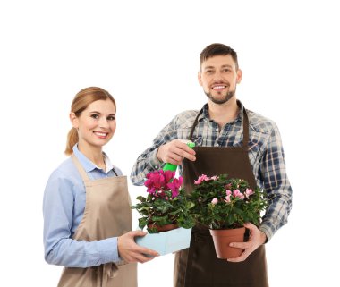 Karanfiller tutan iki çiçekçi 