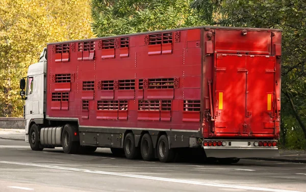 European cargo truck — Stock Photo, Image