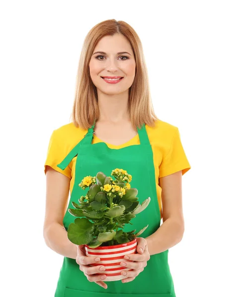 Beautiful woman florist — Stock Photo, Image