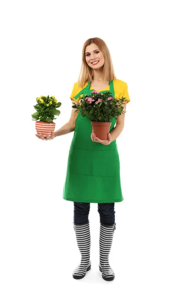 Beautiful female florist — Stock Photo, Image