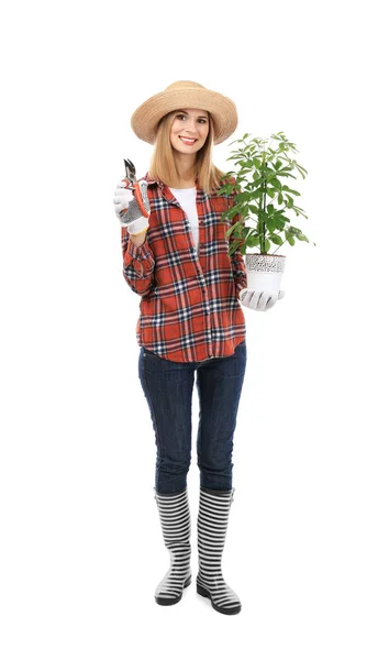 Vrouwelijke bloemist houden kamerplant — Stockfoto