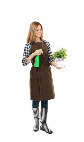 Beautiful female florist — Stock Photo, Image