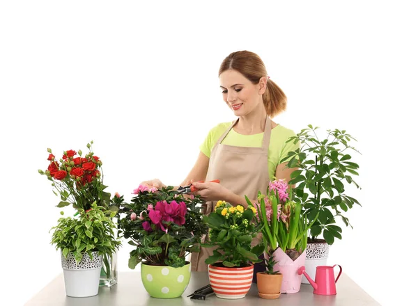 아름 다운 집 식물을 가진 여자 꽃집 — 스톡 사진