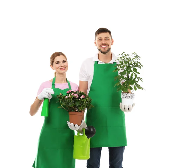 Dos floristas sosteniendo plantas de la casa — Foto de Stock