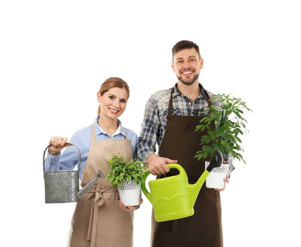 Dos floristas sosteniendo plantas de la casa — Foto de Stock