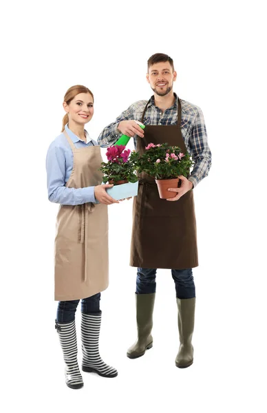 Két virágkereskedések gazdaság szobanövények — Stock Fotó