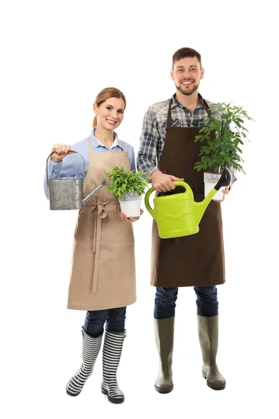 Dois floristas segurando plantas da casa — Fotografia de Stock