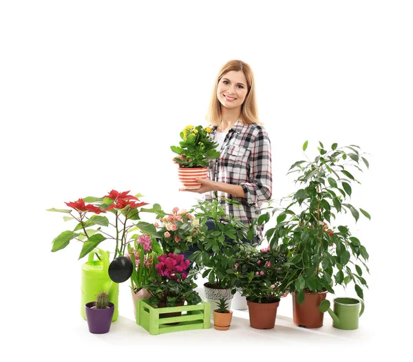 아름 다운 집 식물을 가진 여성 꽃집 — 스톡 사진