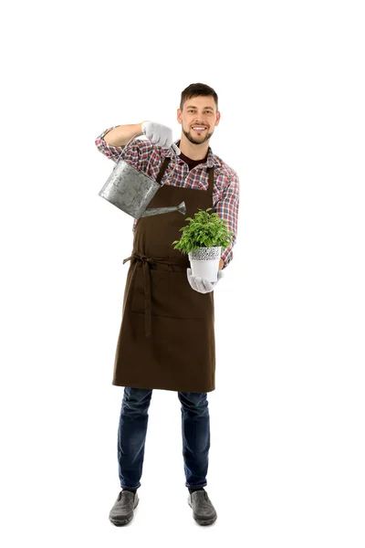 Mannelijke bloemist met bloemen boeket — Stockfoto