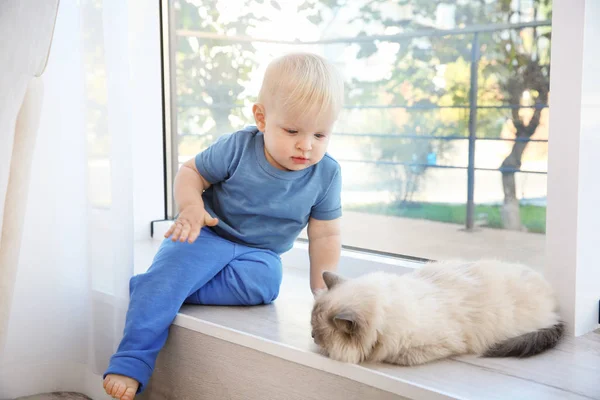 Cute little boy — Stock Photo, Image