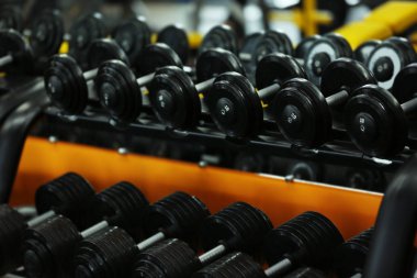Spor salonunda farklı dumbbells ile raf
