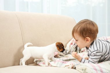 Şirin küçük çocuk.  