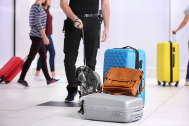 Dog looking for drugs in airport clipart
