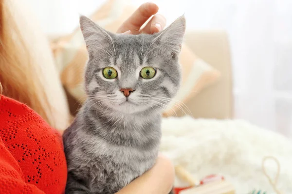 Симпатичный кот с владельцем — стоковое фото