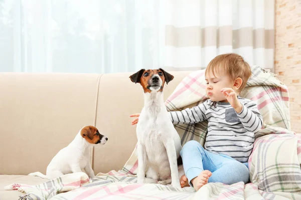 Söt liten pojke — Stockfoto