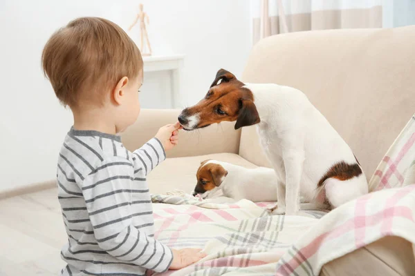 Söt liten pojke — Stockfoto