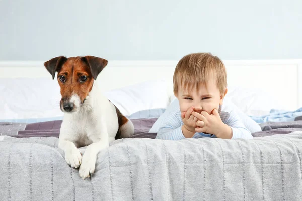 Söt liten pojke — Stockfoto