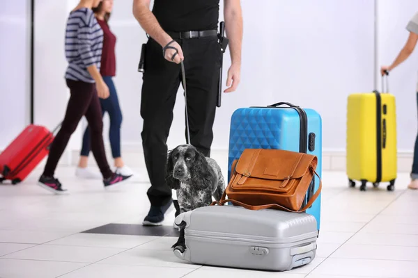 Hond op zoek naar drugs in luchthaven — Stockfoto