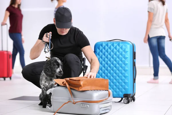 Kutya keres kábítószer-repülőtér — Stock Fotó