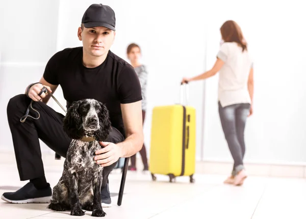 Dog looking for drugs in airport — Stock Photo, Image