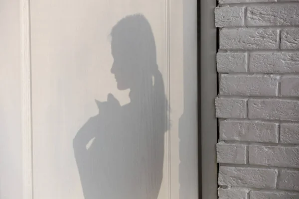 Shadow in shape of woman with cat on light wooden door — Stock Photo, Image