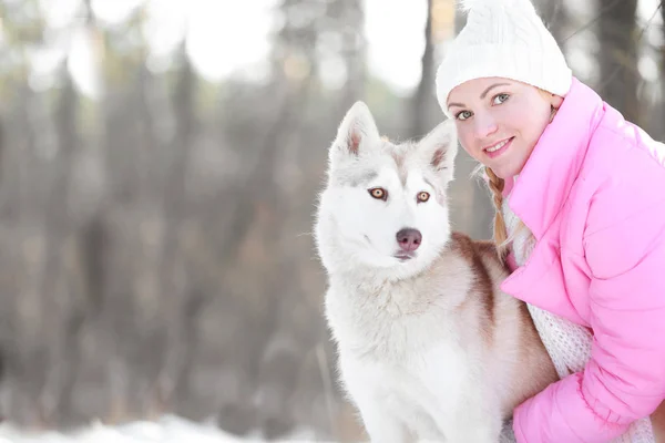Siberische husky in winter park — Stockfoto