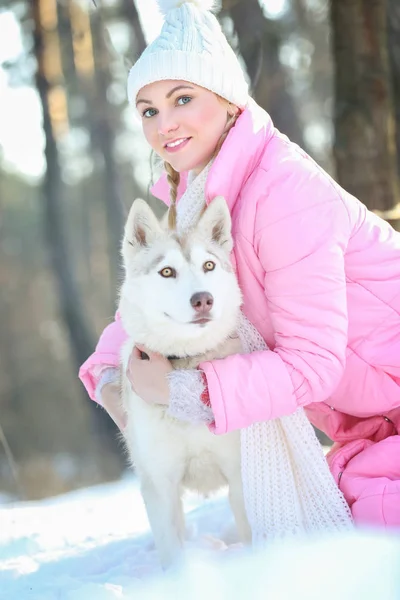 Siberian husky in winter park — Stock Photo, Image